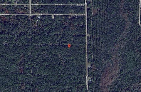 329 Chipola Drive Georgetown FL 32139