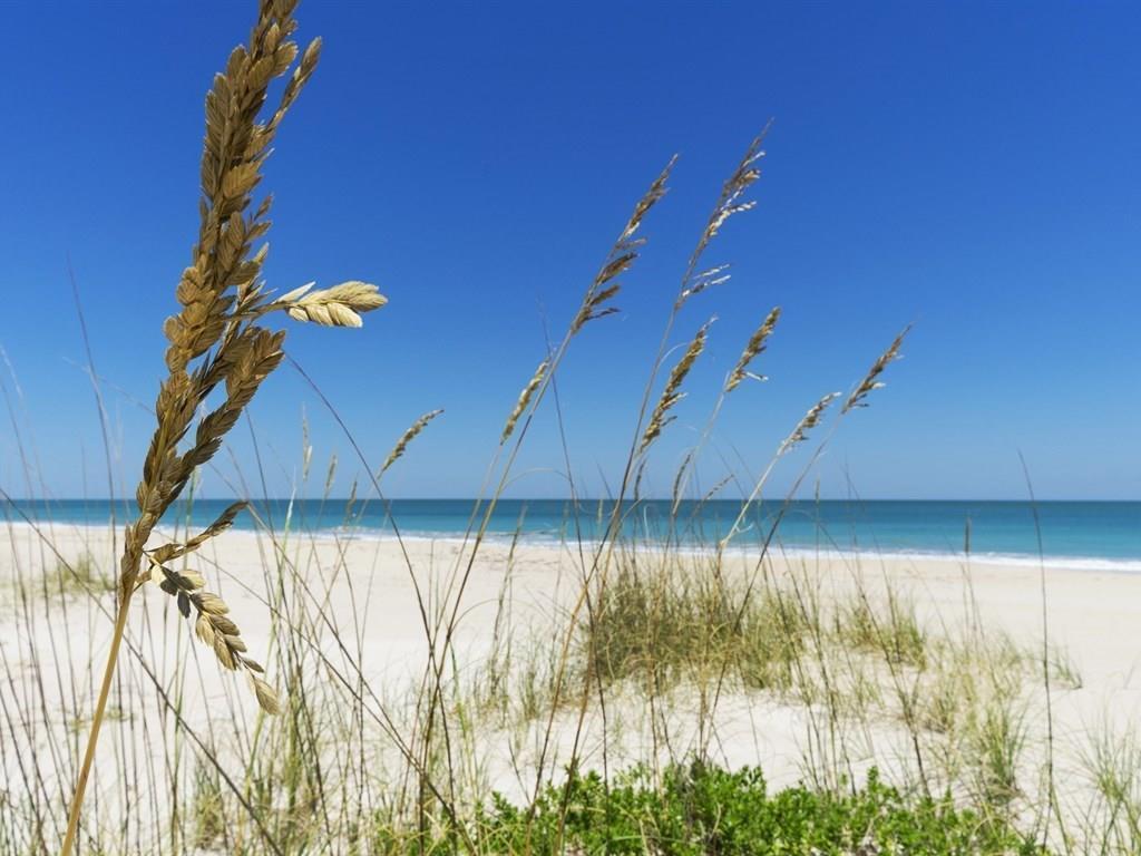 AVALON BEACH PUD - Land