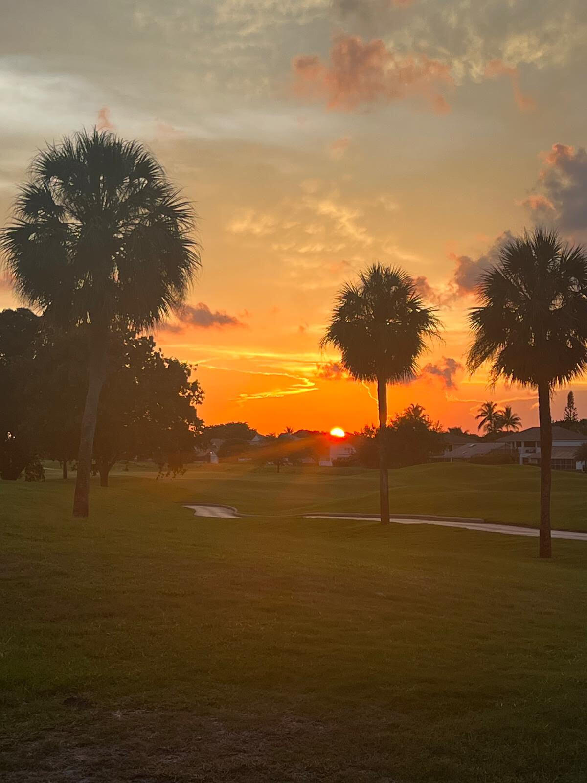 HOLLOWS OF DEER CREEK CONDO - Residential