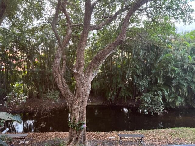 SEA RISE CONDO - Residential Lease