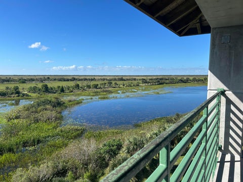 Tiny photo for 12768 Westhampton Circle, Wellington, FL 33414 (MLS # B26067536)