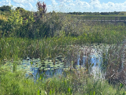 Tiny photo for 12768 Westhampton Circle, Wellington, FL 33414 (MLS # B26067536)