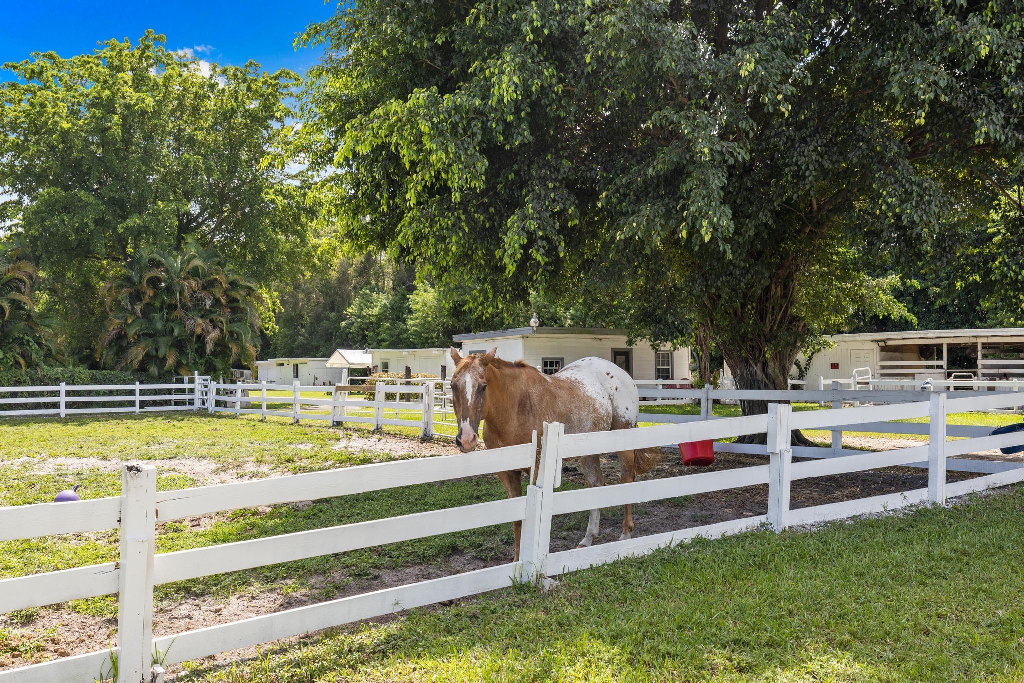 Palm Beach Farms 2-54 Pb - Residential