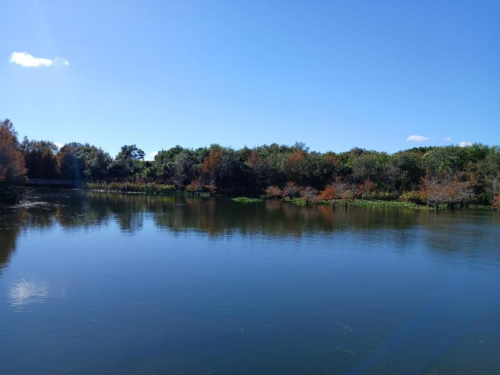 EAST LAKE VILLAGE NO 2 - Residential