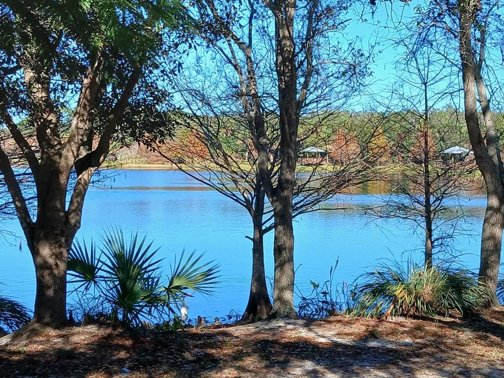 EAST LAKE VILLAGE NO 2 - Residential