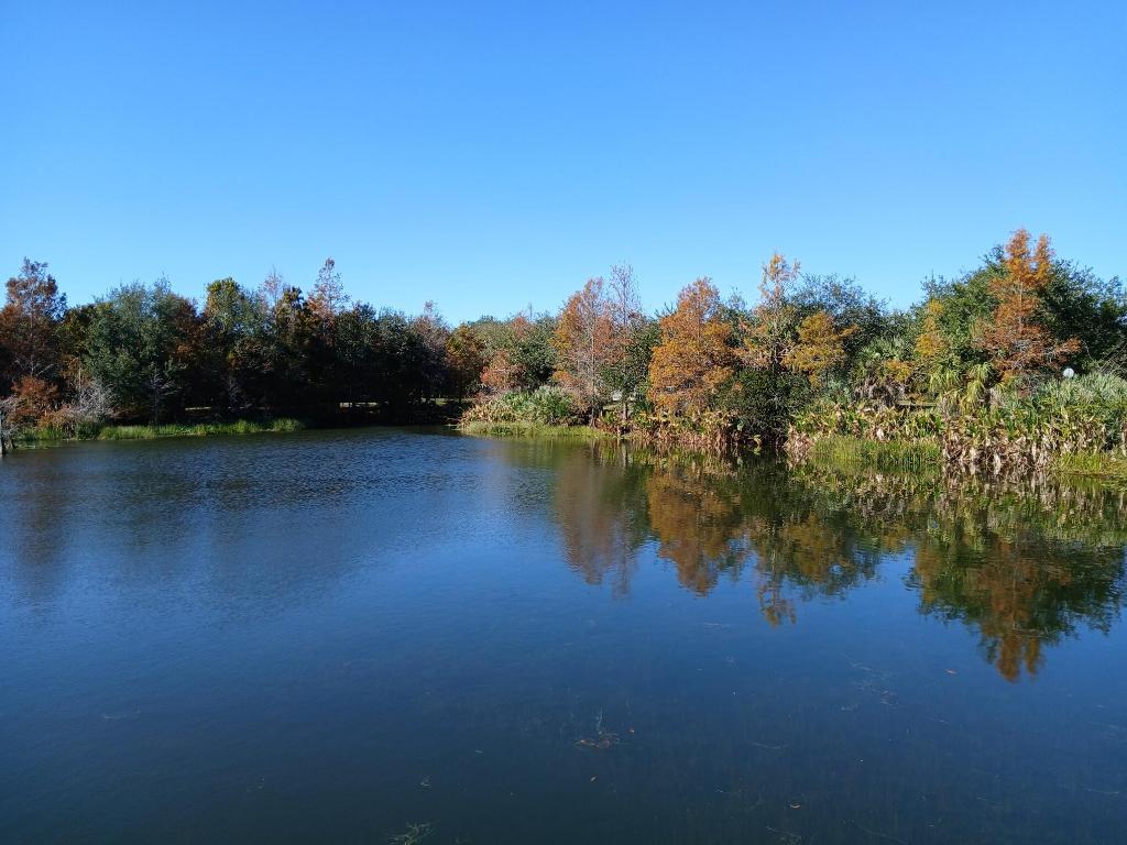 EAST LAKE VILLAGE NO 2 - Residential