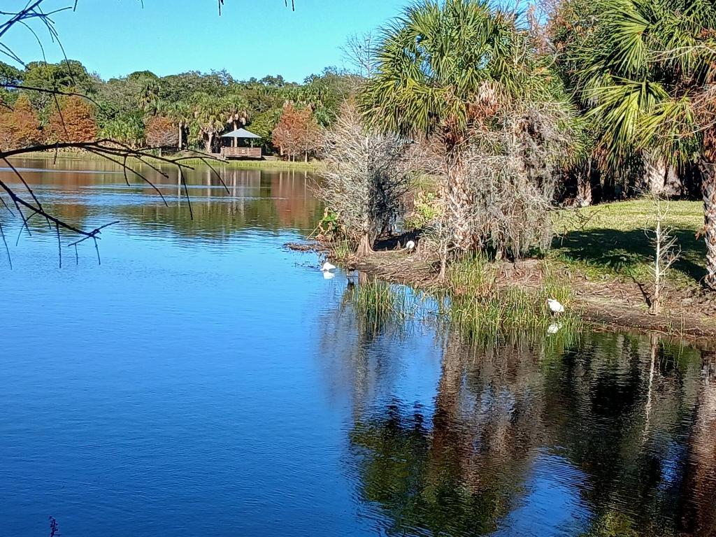 EAST LAKE VILLAGE NO 2 - Residential