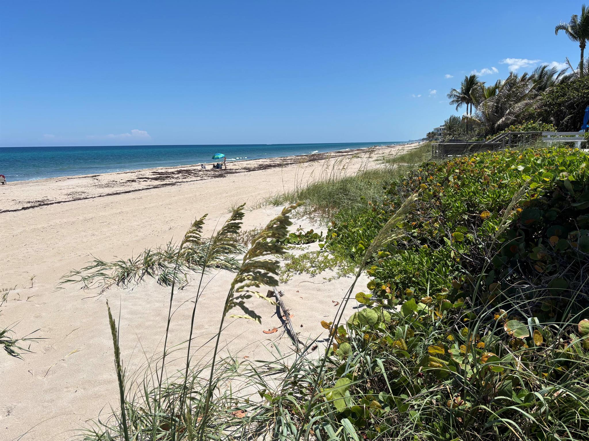 COLONIAL RIDGE - Residential Lease