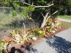 Century Village - Residential