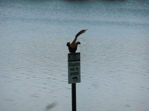 Century Village - Residential