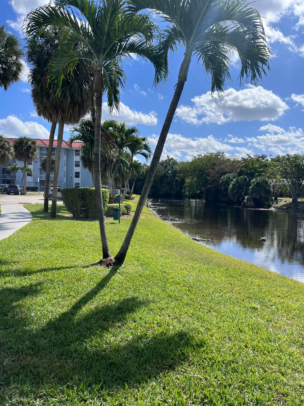 Photo of 505 S Pine Island Road #407b, Plantation, FL 33324 (MLS # R11161098)