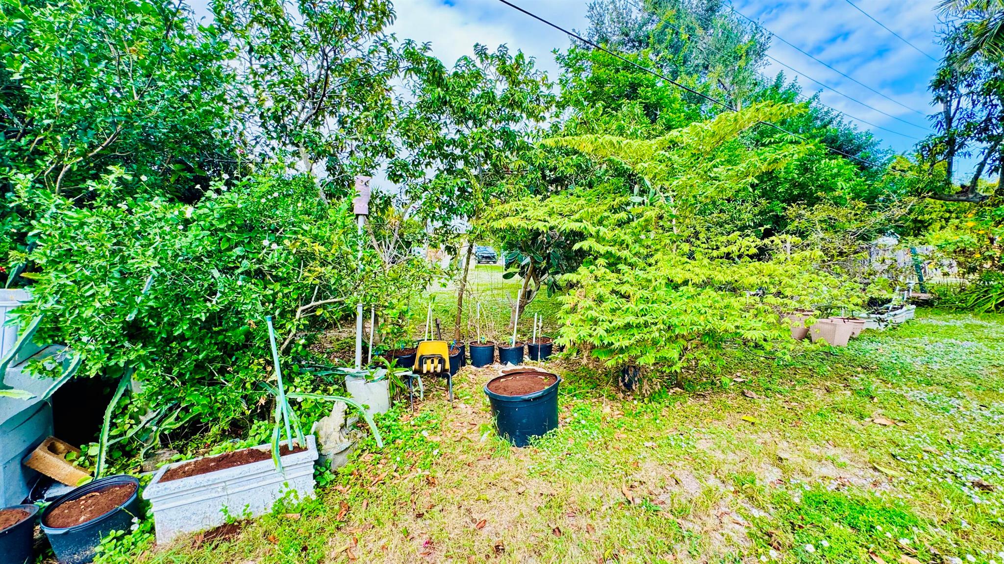 KELSEY CITY - Residential Lease