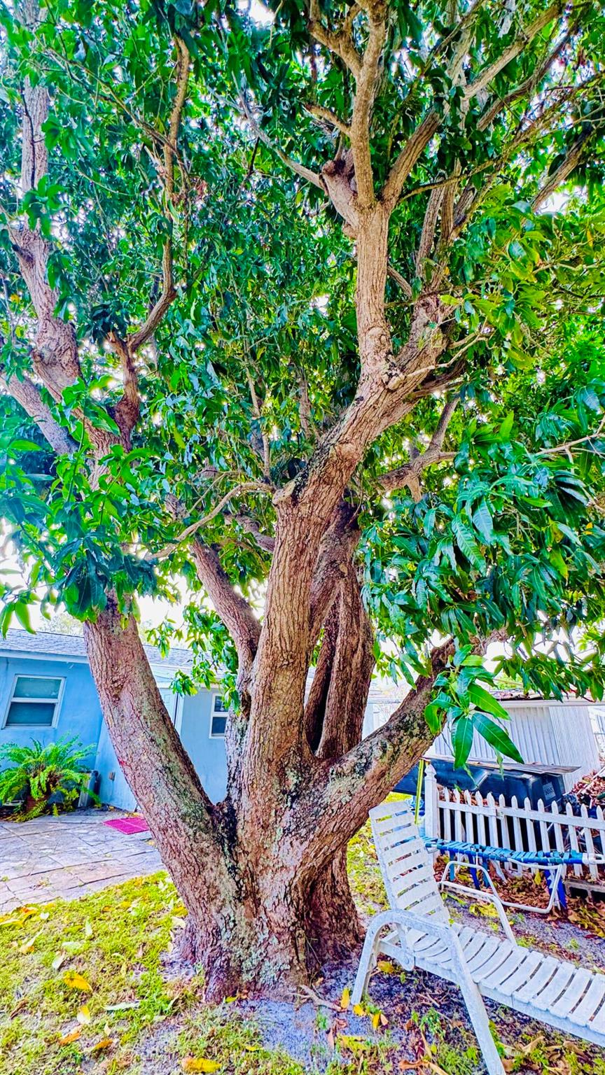 KELSEY CITY - Residential Lease