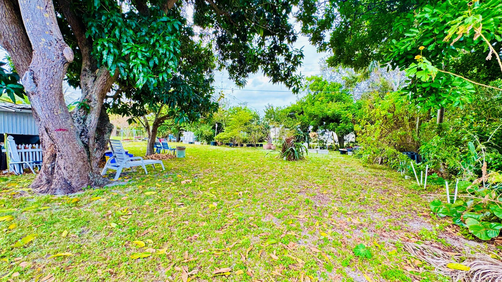 KELSEY CITY - Residential Lease