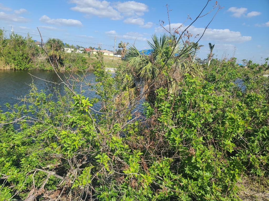 CAPE CORAL UNIT 38 - Land