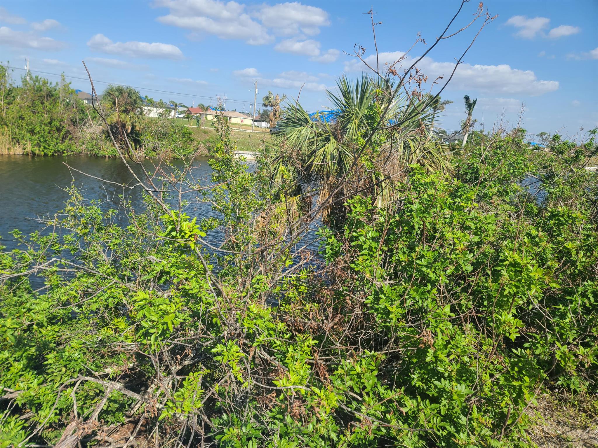 CAPE CORAL UNIT 38 - Land