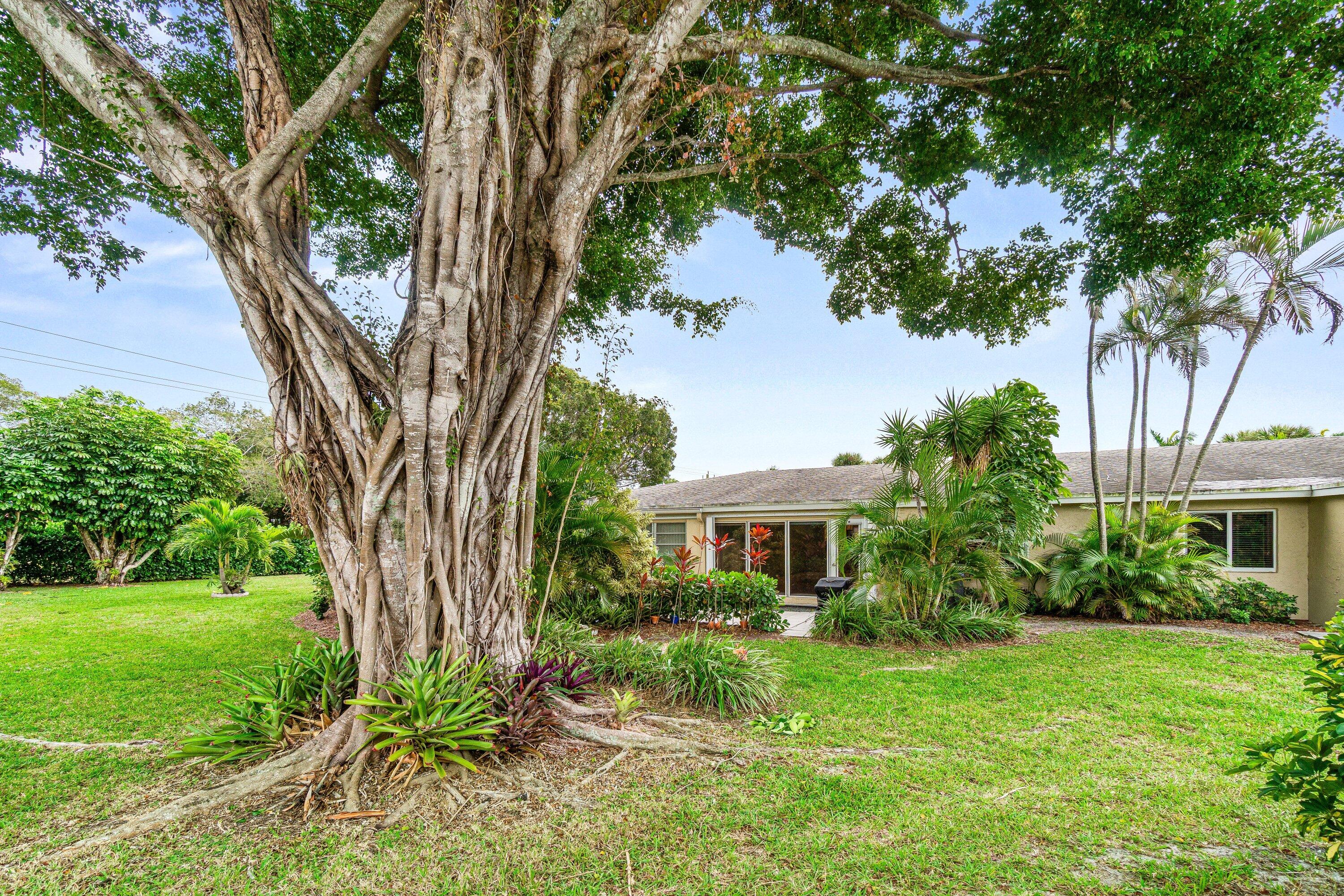 PALM GREENS AT VILLA DEL RAY CONDO II - Residential