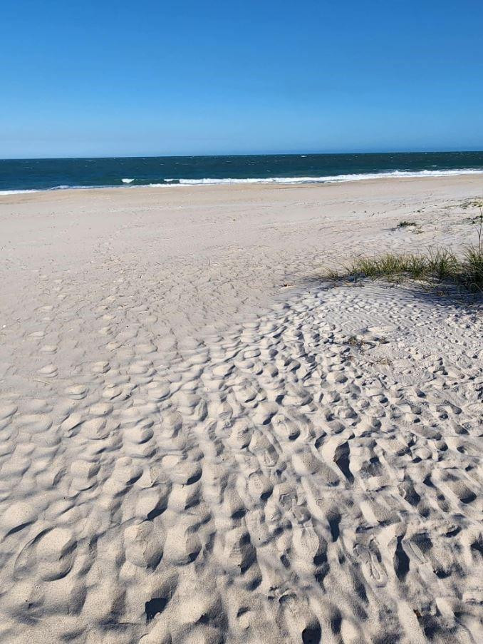 OCEAN HARBOUR TOWER CONDO - Residential