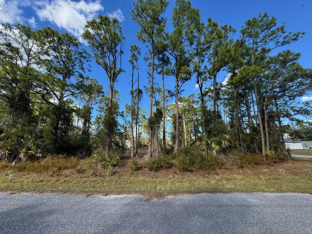 PORT CHARLOTTE SUB 28 - Land