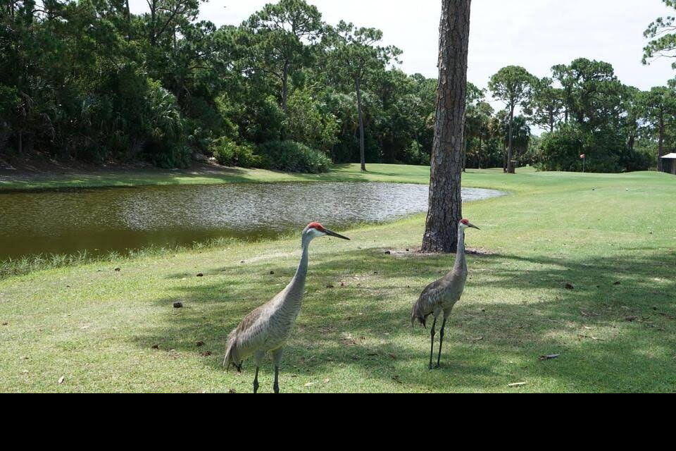 Spanish Lakes Golf Village - Residential