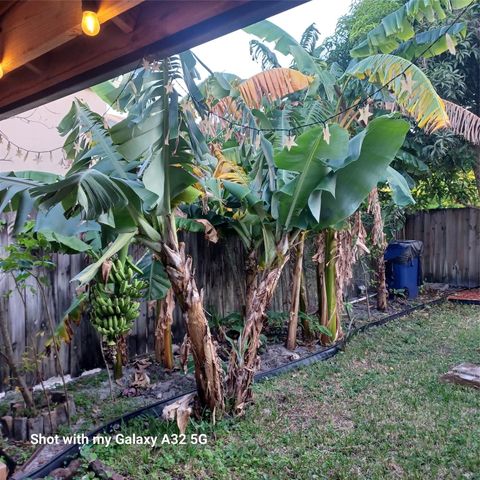 A home in Royal Palm Beach