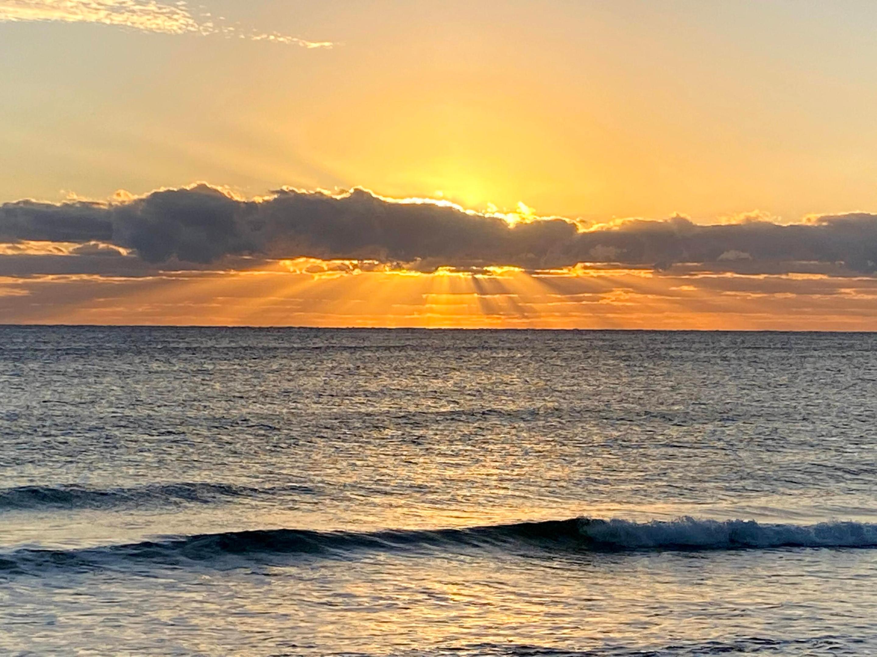 GARDENS BY THE SEA SOUTH CONDO - Residential