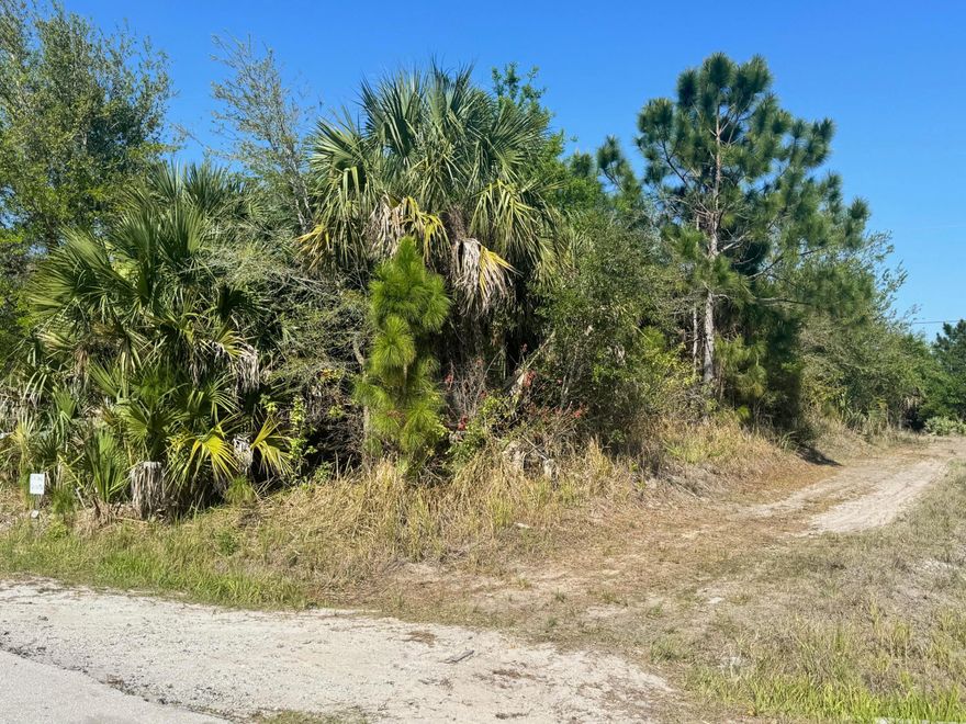 CITY WATER AVAILABLE!  Prime Residential Lot in Palm Bay, FL — Build Your Dream Home! Discover the perfect opportunity to create your Florida dream home on this spacious vacant lot in the heart of Palm Bay — one of Brevard County's fastest-growing communities. This property offers the ideal blend of tranquil suburban living and easy access to modern conveniences.  Nestled on a quiet residential street, the lot features lush natural surroundings, with plenty of room for your custom-built home, pool, or garden. Enjoy proximity to shopping, dining, parks, and top-rated schools, all while being just minutes from I-95, US-1, and the beautiful Atlantic beaches. Utilities nearby make for an easy build, and there are no HOA fees to limit your vision.  Prime Residential Lot in Palm Bay, FL -   WITH CITY WATER AVAILABLE— Build Your Dream Home!