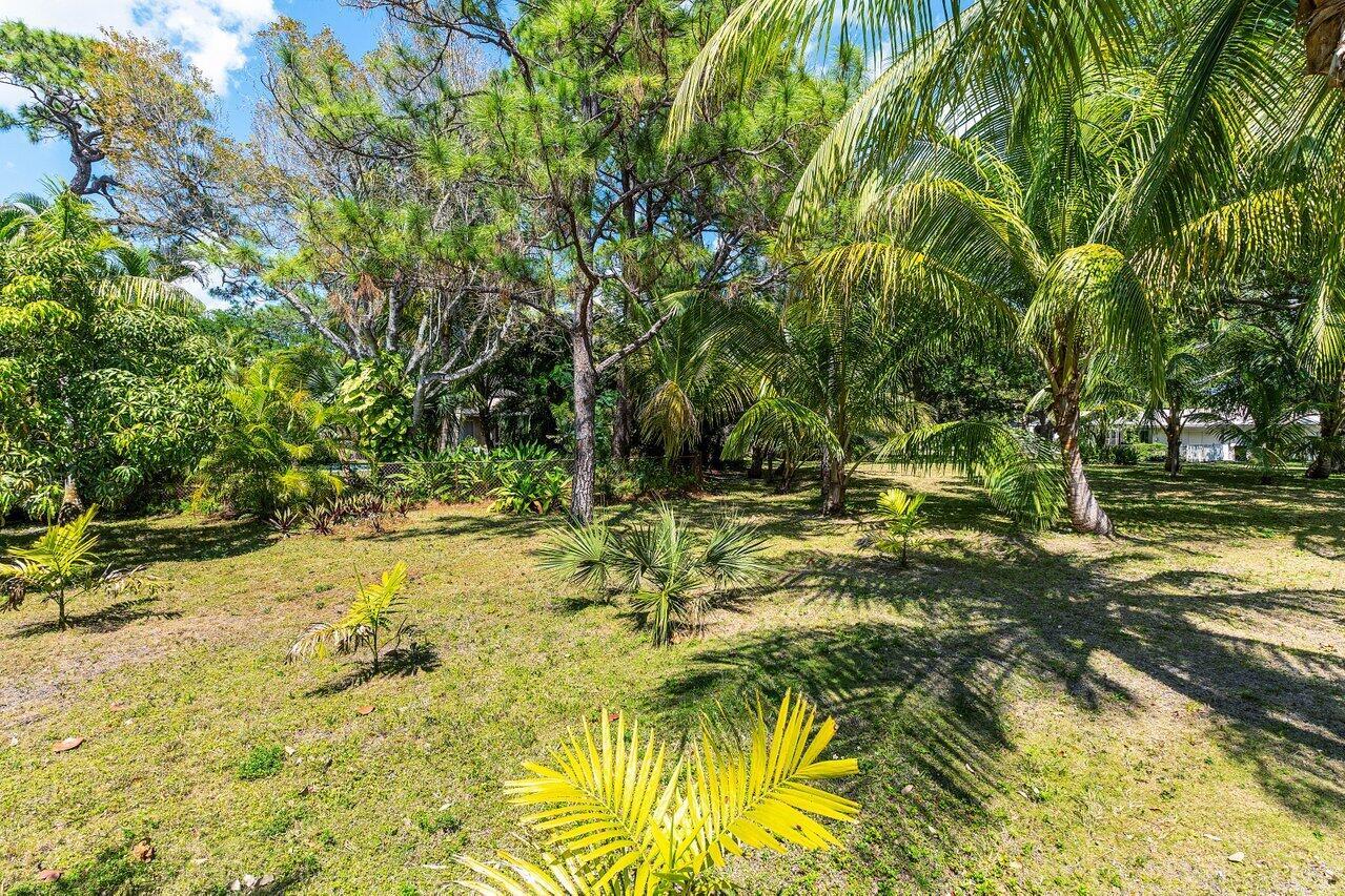 IDA LAKE TERRACE - Residential
