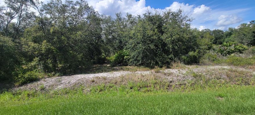 NO FLOOD ZONE!! Beautiful 1.25 acres with nice oak trees. Easy access to power. Currently no adjoining neighbors.  Great lot for the money.