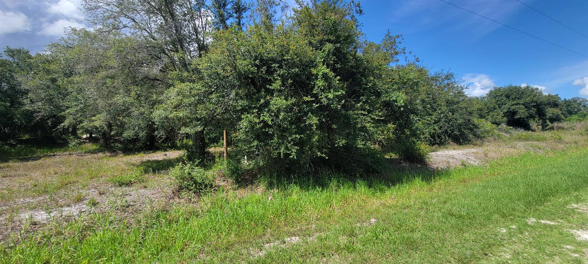 southern colonization - Land