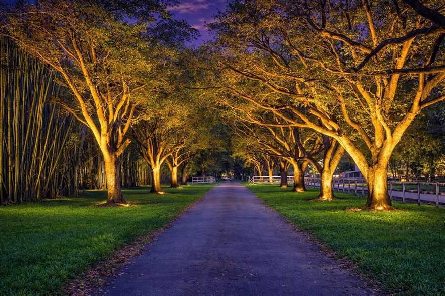 ***A ONCE-IN-A-LIFETIME OPPORTUNITY ON PRESTIGIOUS HANCOCK ROAD!!!*** WELCOME TO ONE OF THE LAST REMAINING MULTI-ACRE ESTATES ON COVETED HANCOCK RD IN SUNSHINE RANCHES! SPANNING 8.46 ACRES+/-,THIS RARE OFFERING COMBINES EXCLUSIVITY,SCALE&UNMATCHED POTENTIAL. DON’T LET THE RURAL CHARM FOOL YOU,SW RANCHES IS QUICKLY BECOMING THE “HAMPTONS OF SOUTH FLORIDA,”W/OVER 18 MEGA MANSIONS CURRENTLY BUILT,IN FOR PERMIT,OR UNDER CONSTRUCTION. THIS PROPERTY BOASTS 294' OF FRONTAGE& 1,251' OF DEPTH, W/A PICTURESQUE OAK TREE-LINED D/W WELCOMING YOU HOME. IT'S HIGH AND DRY,W/CITY WATER &NO WETLANDS-AN IDEAL CANVAS TO DEVELOP. EXISTING 3,076 SF HOME (4BD/3BA) IS BEING SOLD AS-IS. REPLATTING ALLOWS FOR DIVISION INTO 3 BUILDABLE LOTS (MINIMUM 2 ACRES EACH),MAKING THIS A IDEAL FOR A DREAM-HOME/FAMILY COMPOUND.