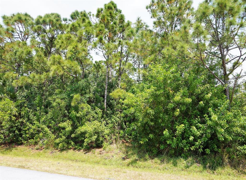Sought after Torino area lot available for your new homesite. Located short drive to shopping, restaurants, golf, medical center, entertainment and Mets Spring Training Stadium. Adjacent lot also for sale.