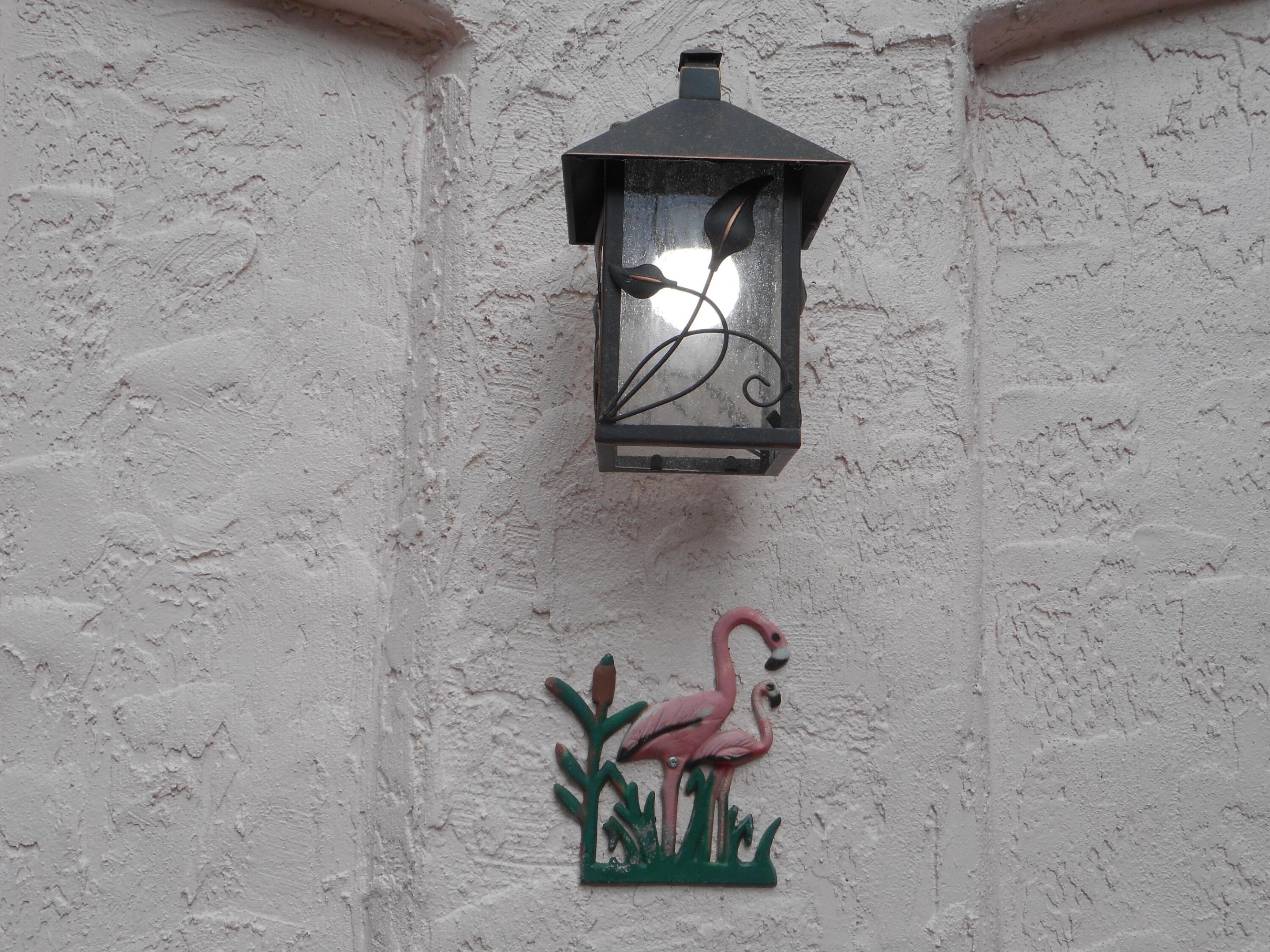 Flamingo Park - Residential Lease