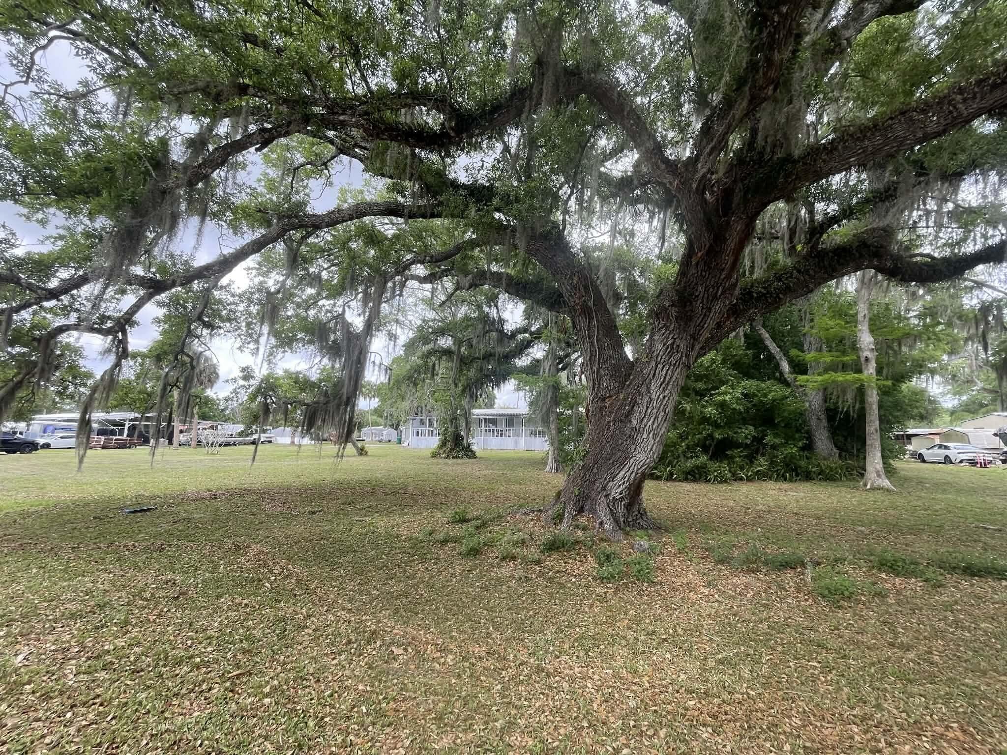BRINDABAN FOREST - Residential