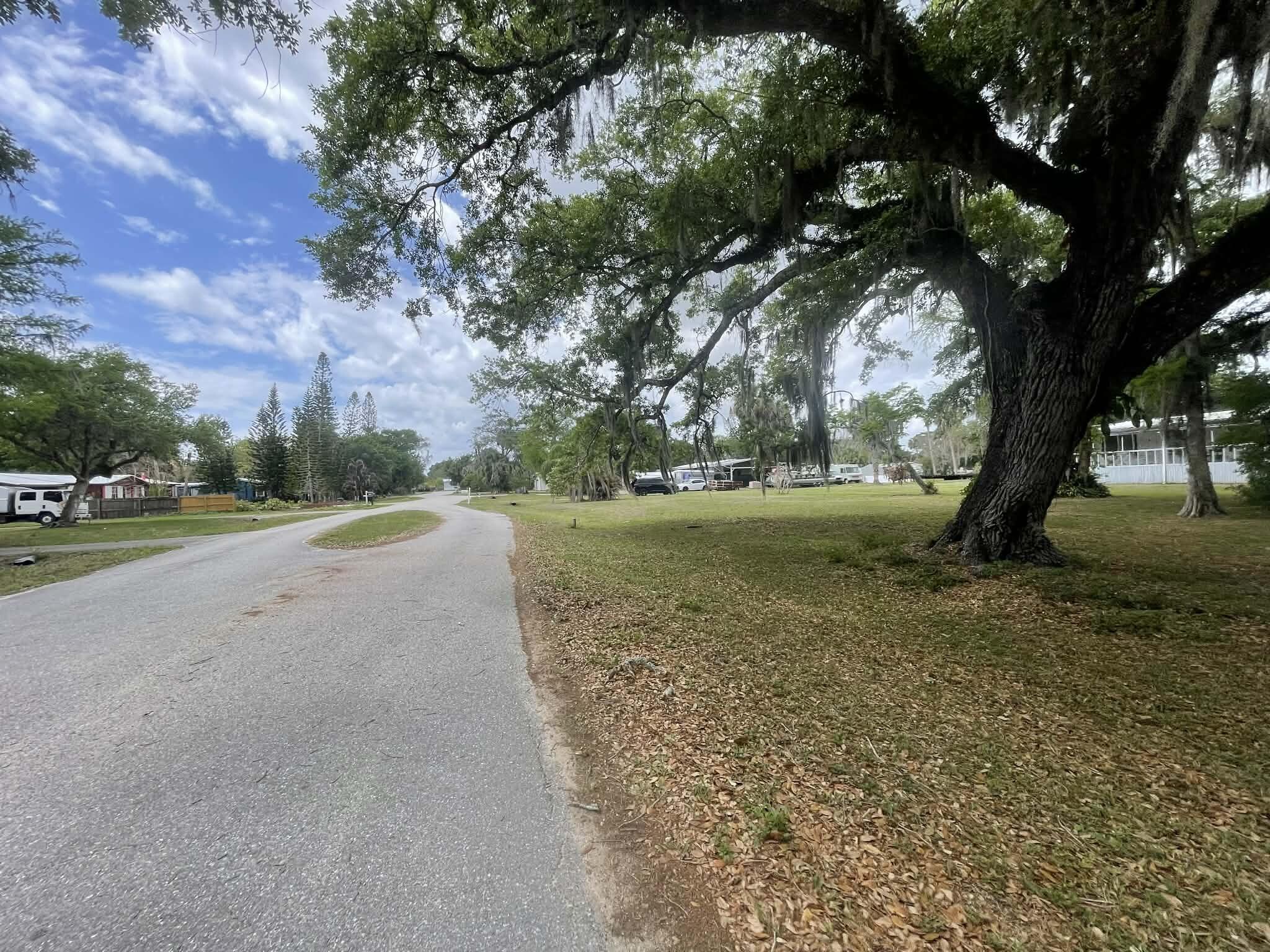 BRINDABAN FOREST - Residential