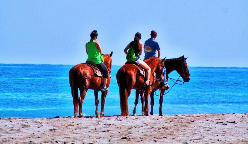 CASCADES AT ST LUCIE WEST - Residential