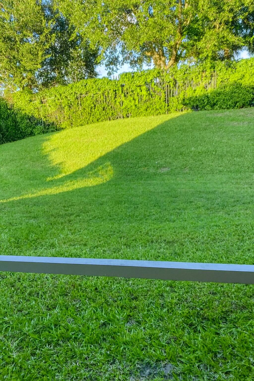 2303 Center Stone Lane