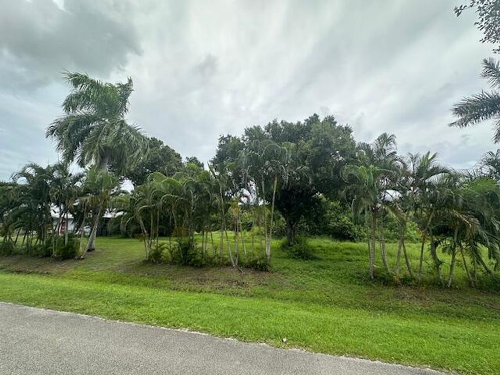 Photo of 4420 Pressler Lane, Fort Pierce, FL 34982 (MLS # R11109253)