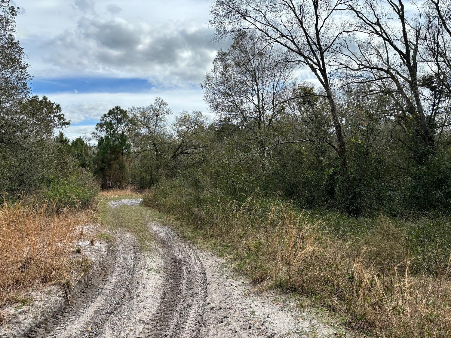 Rancho Bonito RB65 - Land