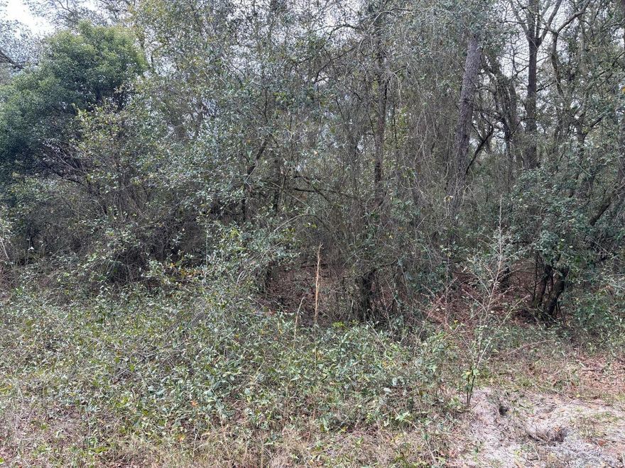1.25 acres in Rancho Bonito. Easy access to this one plus acre lot. Nice mix of open and wooded areas. Owner financing available
