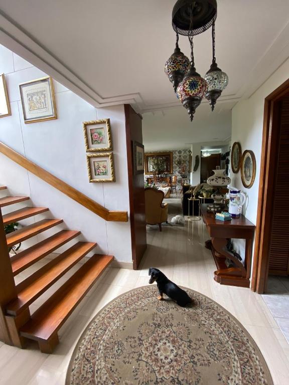 Sector El Campestre, Medellín, Antioquia, Colombia - Residential