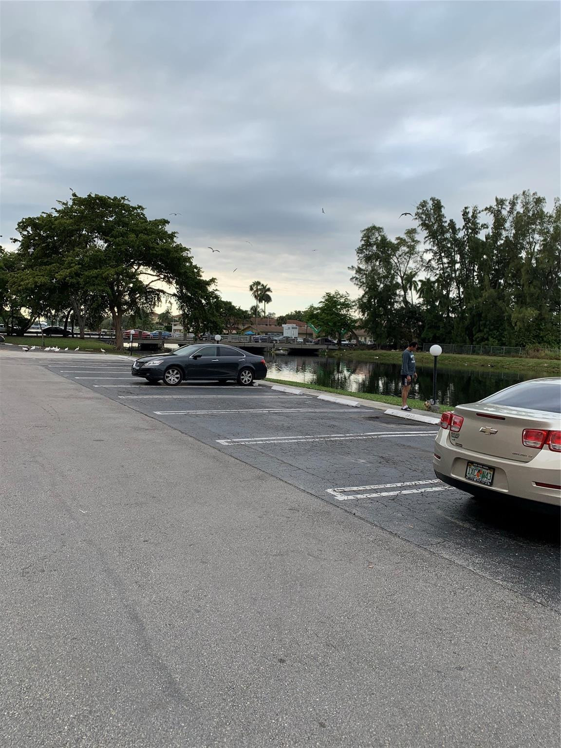 Tall Trees Condo - Residential Lease