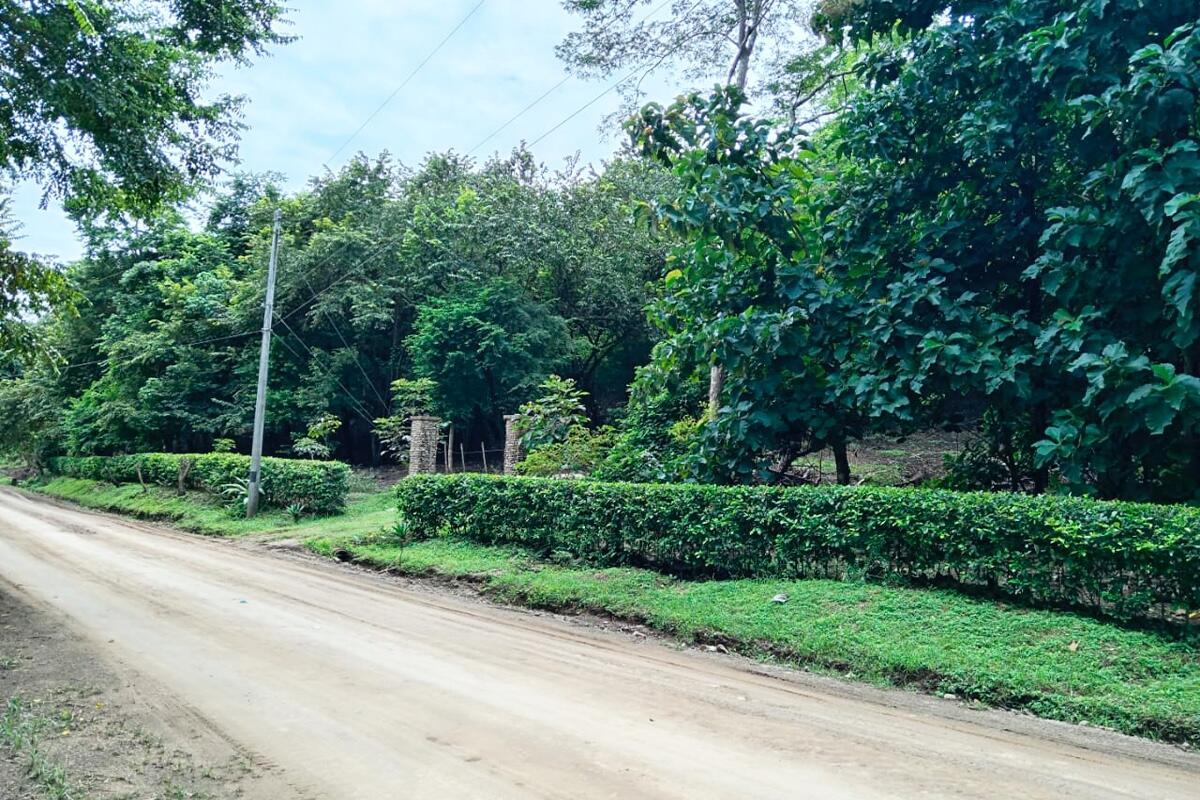 Bajo Negro, Paquera, Punt - Residential