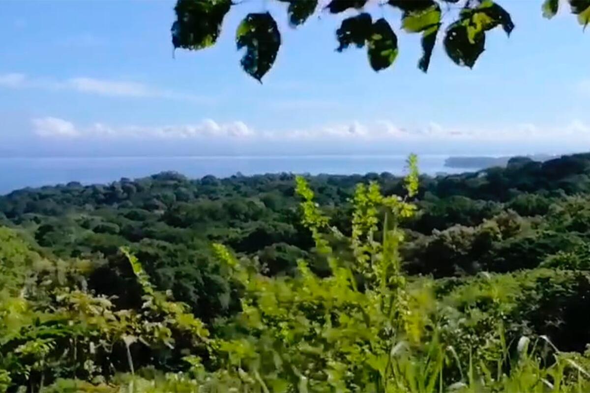 Bajo Negro, Paquera, Puntarenas - Land