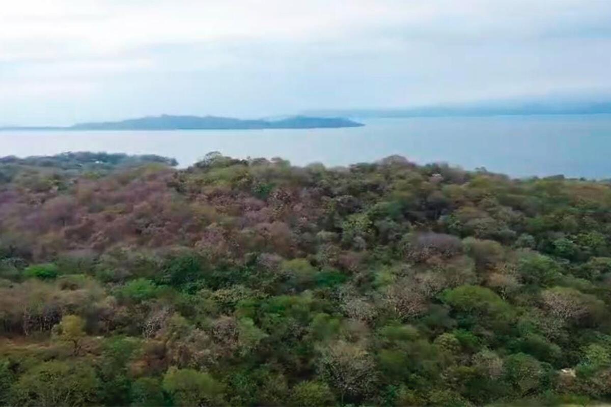 Bajo Negro, Paquera, Puntarenas - Land