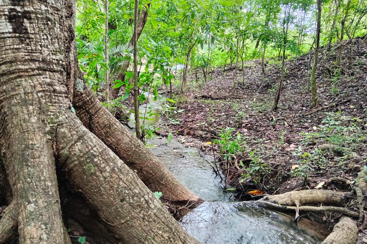 Bajo Negro, Paquera, Puntarenas - Land