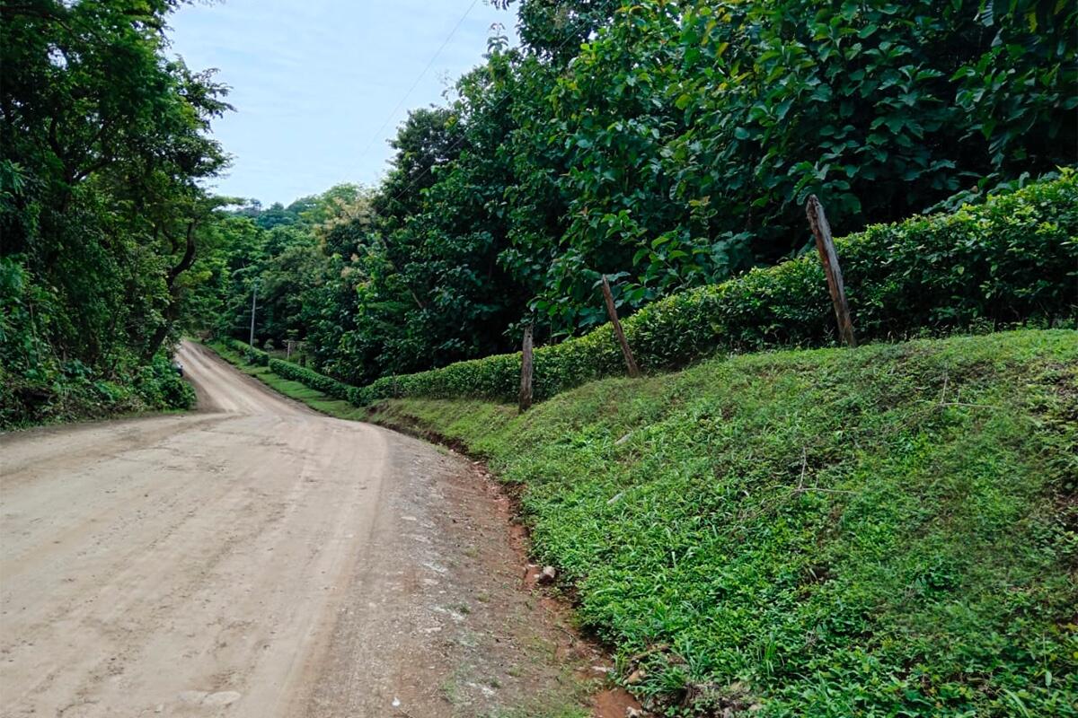 Bajo Negro, Paquera, Puntarenas - Land