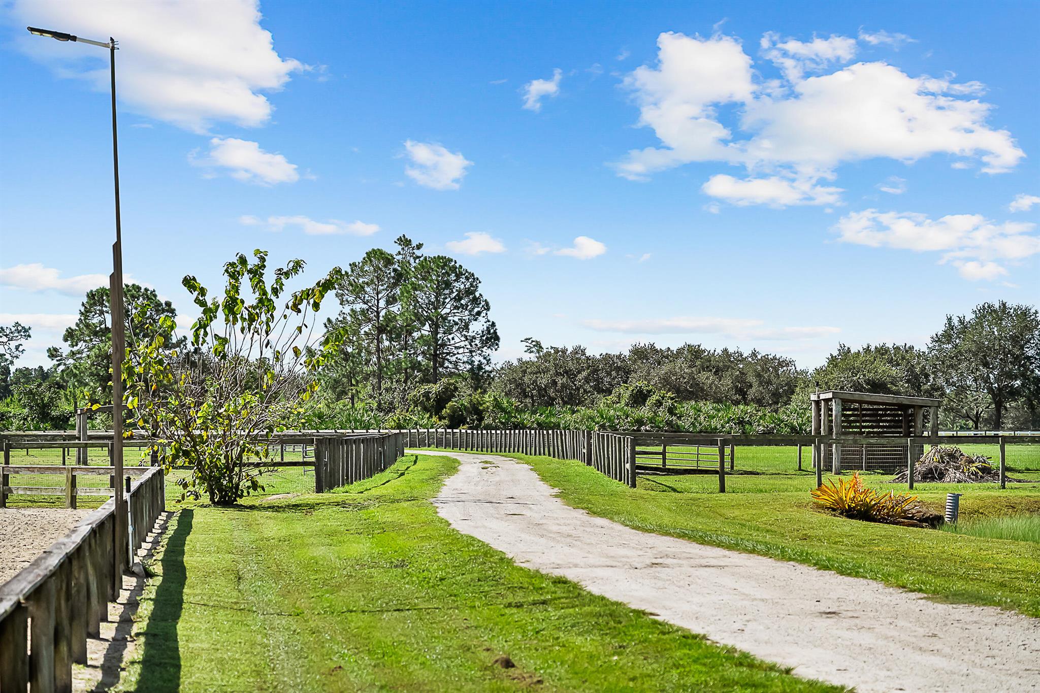 Trailside - Residential