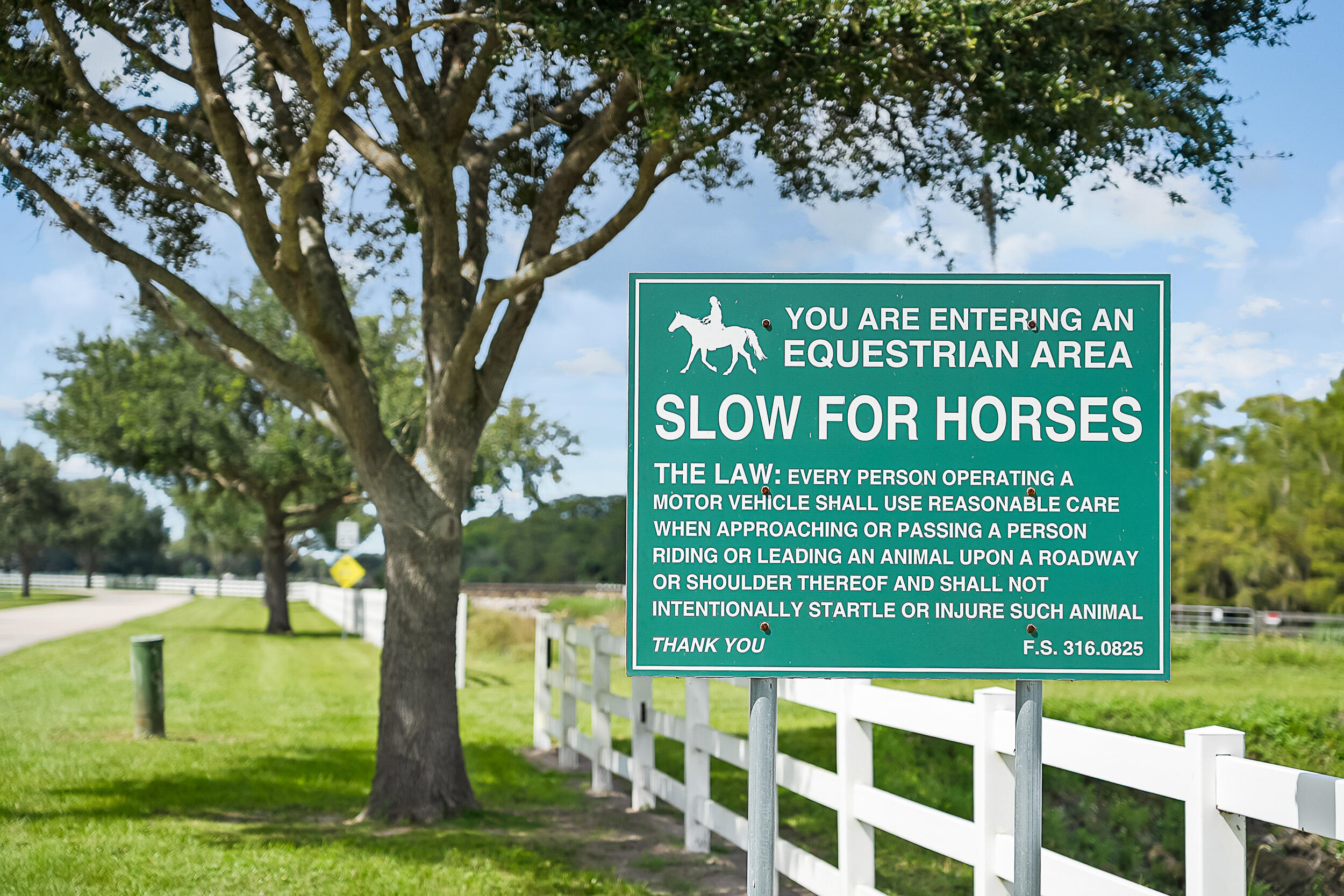 Trailside - Residential