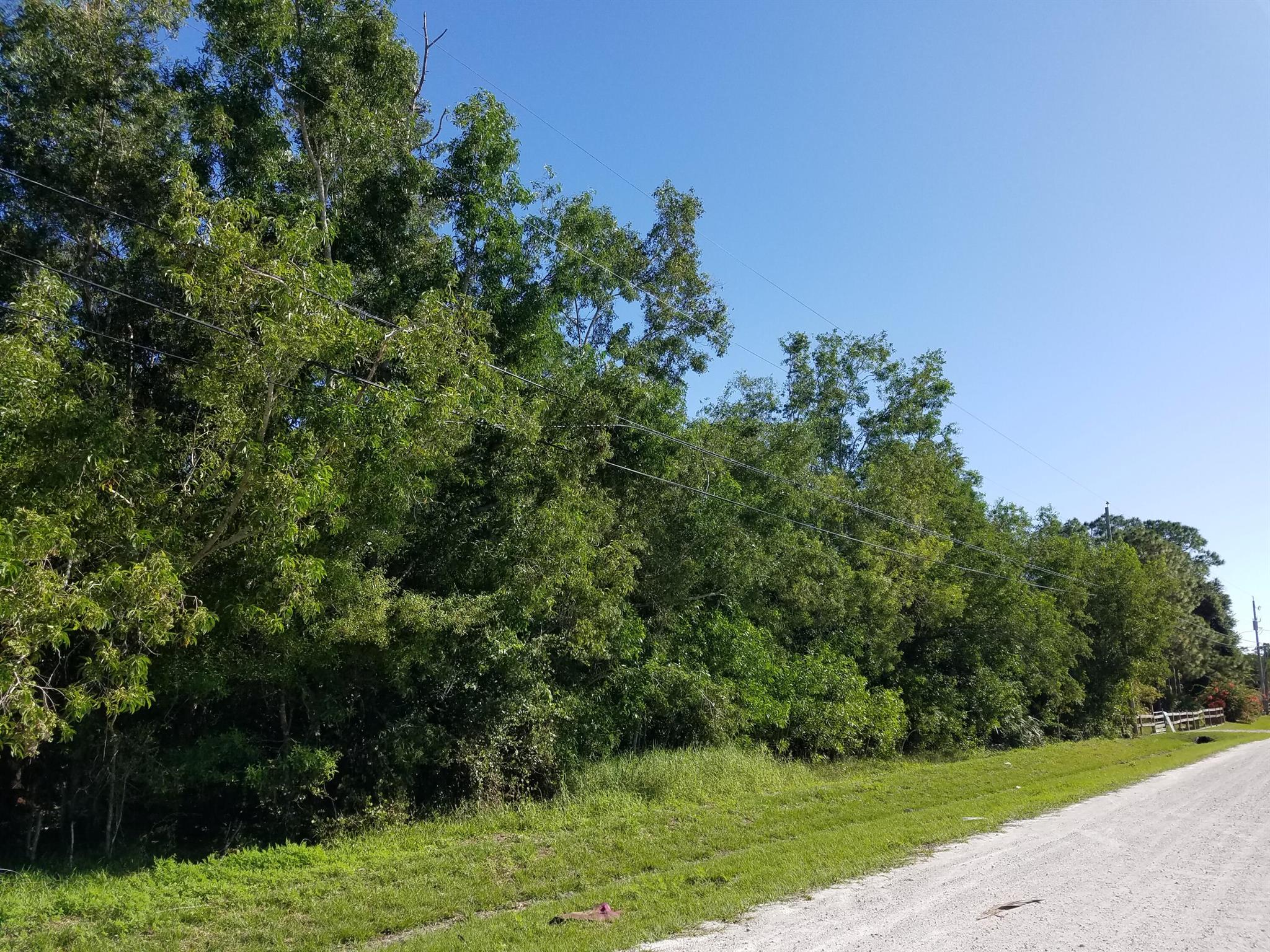 Realtors, show and sell with confidence. Seller has been verified as the real owner. Probably the best home site currently on the market. High & dry and loaded with tall pines. Surrounded by beautiful homes and just of paved Apache Blvd. Within 1 mile to shopping and dinning. Steal It!